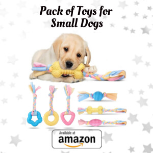 Pack of Toys for Small Dogs