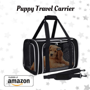 Puppy Travel Carrier