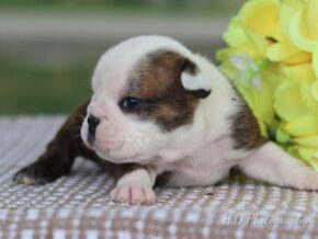 Photo of Chloe