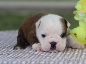 Photo of Chloe