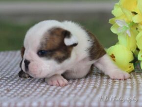 Photo of Chloe