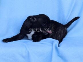 Photo of Kanya