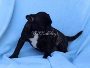 Photo of Kanya