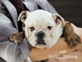 Photo of Cora