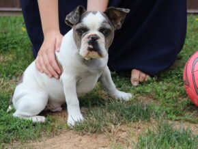 Photo of Waylon