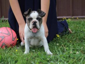 Photo of Waylon