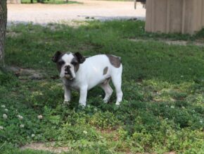Photo of Waylon