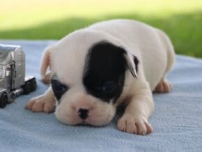 Photo of Kennedy