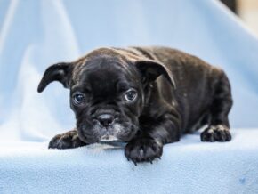 Photo of Delroy