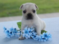 Photo4 for Munchkin