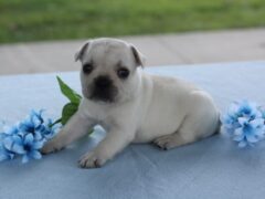 Photo2 for Munchkin