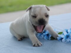 Photo3 for Munchkin