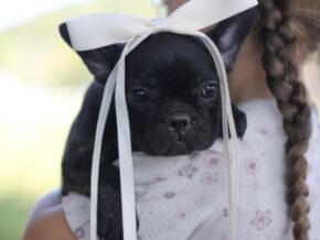 Photo of Sugar Baby