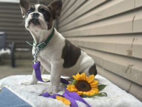 Photo of Sonny